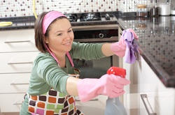 London Domestic Cleaning Company