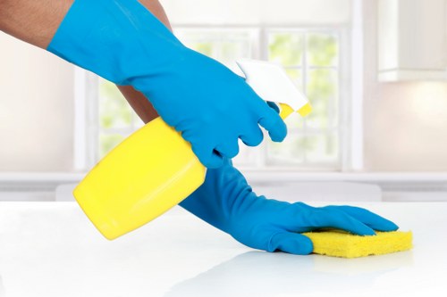 Device with cookie settings for end of tenancy house cleaning website