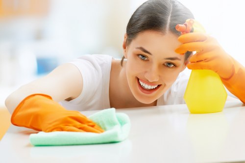 Image representing a formal end of tenancy cleaning review process