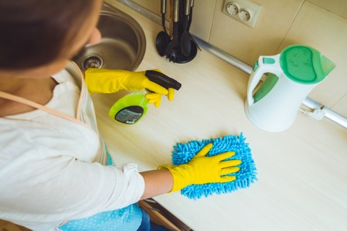 Professional cleaners in London working in a modern home