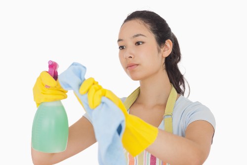 Steam cleaning equipment used by a carpet cleaner in London