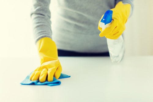 End of lease deep cleaning in a bright, empty home interior