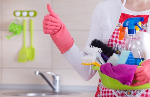 Professional cleaning company in London serving homes and offices