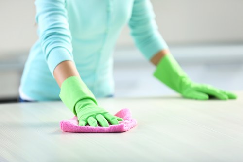 Clean and streak-free windows after window cleaning in London