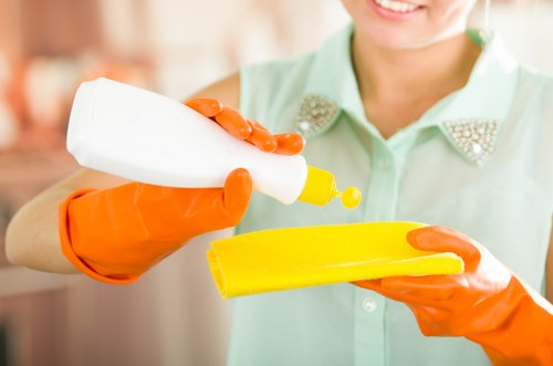 Eco-friendly cleaner in London with modern cleaning supplies