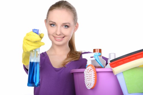 Domestic cleaners in London deep cleaning a kitchen