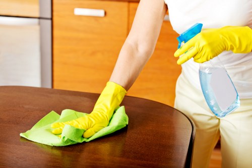 Detailed deep cleaning service for London rental properties